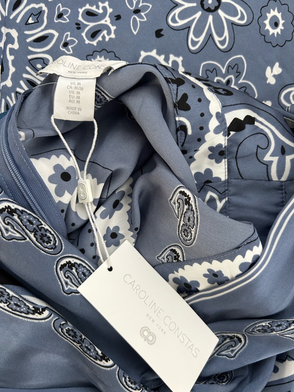 Caroline Constas Blue Paisley Floral Twist Front Maxi Dress - Picture 8 of 14